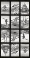 博斯塔罗牌 Bosch Tarot