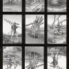 博斯塔罗牌 Bosch Tarot