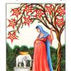 nine-pentacles