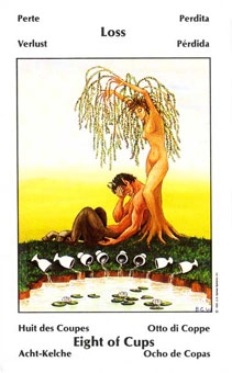 eight-cups