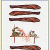 Wands06