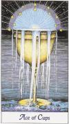 Cups01