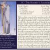 伊壁鸠鲁塔罗牌 Epicurean Tarot Recipe