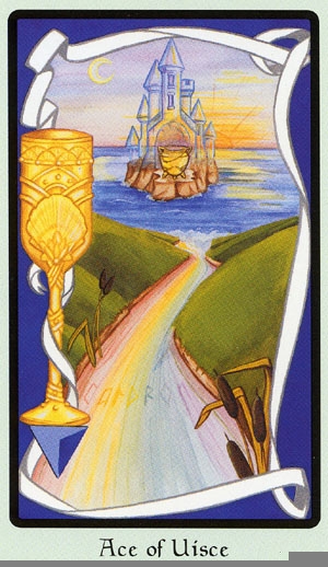 Cups01