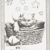 钢笔画猫咪塔罗牌 I Gatti Originali Tarot (Cats Tarot) 
