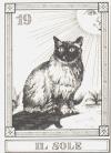钢笔画猫咪塔罗牌 I Gatti Originali Tarot (Cats Tarot) 
