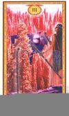 Wands03