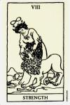 夜光塔罗牌 Glow in the Dark Tarot
