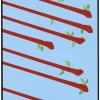 Wands08