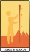 Wands11