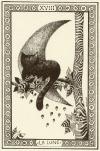 猫塔罗牌 Les Chats d'Evelyne Nicod