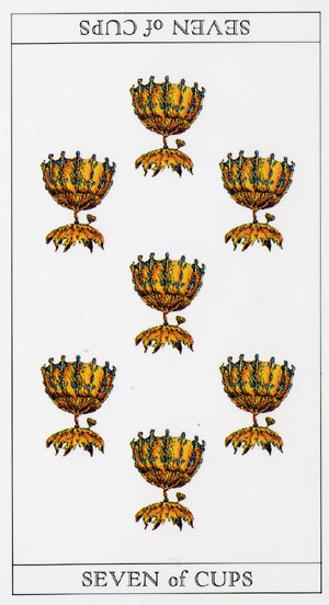 Cups07
