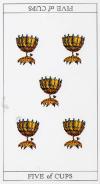 Cups05