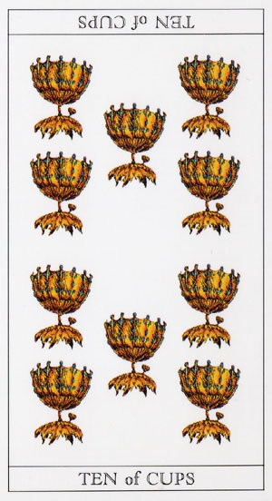 Cups10
