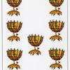 Cups09