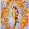 恋人塔罗牌 Lovers' Tarot