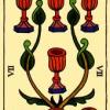 seven-cups