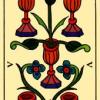 five-cups