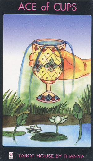 Cups01