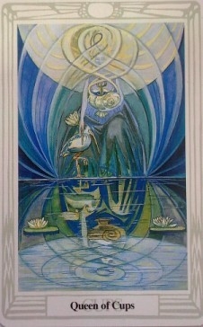 c13
