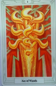 w1