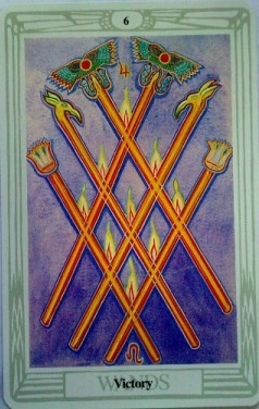 w6
