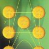Coins07