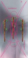 Wands03