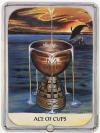 Cups01