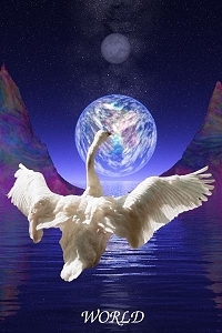 world