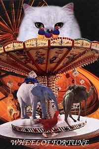 fortune-wheel