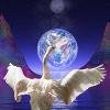 world