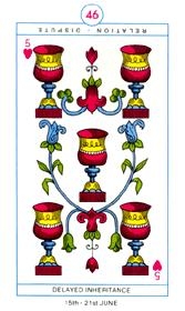 five-cups