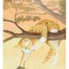 猫眼塔罗牌 Cat's Eye Tarot
