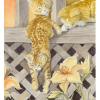 猫眼塔罗牌 Cat's Eye Tarot