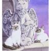 judgement