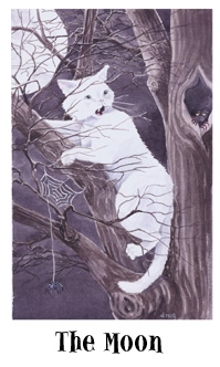 moon