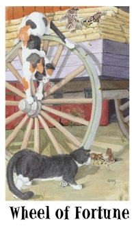 fortune-wheel