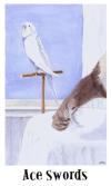 猫眼塔罗牌 Cat's Eye Tarot