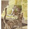 猫眼塔罗牌 Cat's Eye Tarot