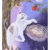 猫眼塔罗牌 Cat's Eye Tarot