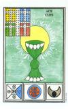 ace-cups