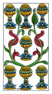 seven-cups