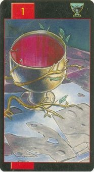 ace-cups