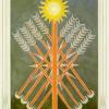 nine-wands