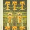 eight-cups