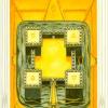 four-pentacles
