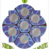 seven-pentacles