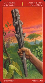 ace-wands