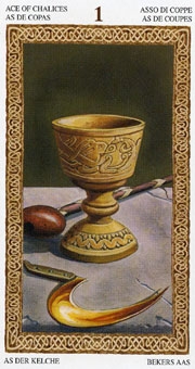ace-cups